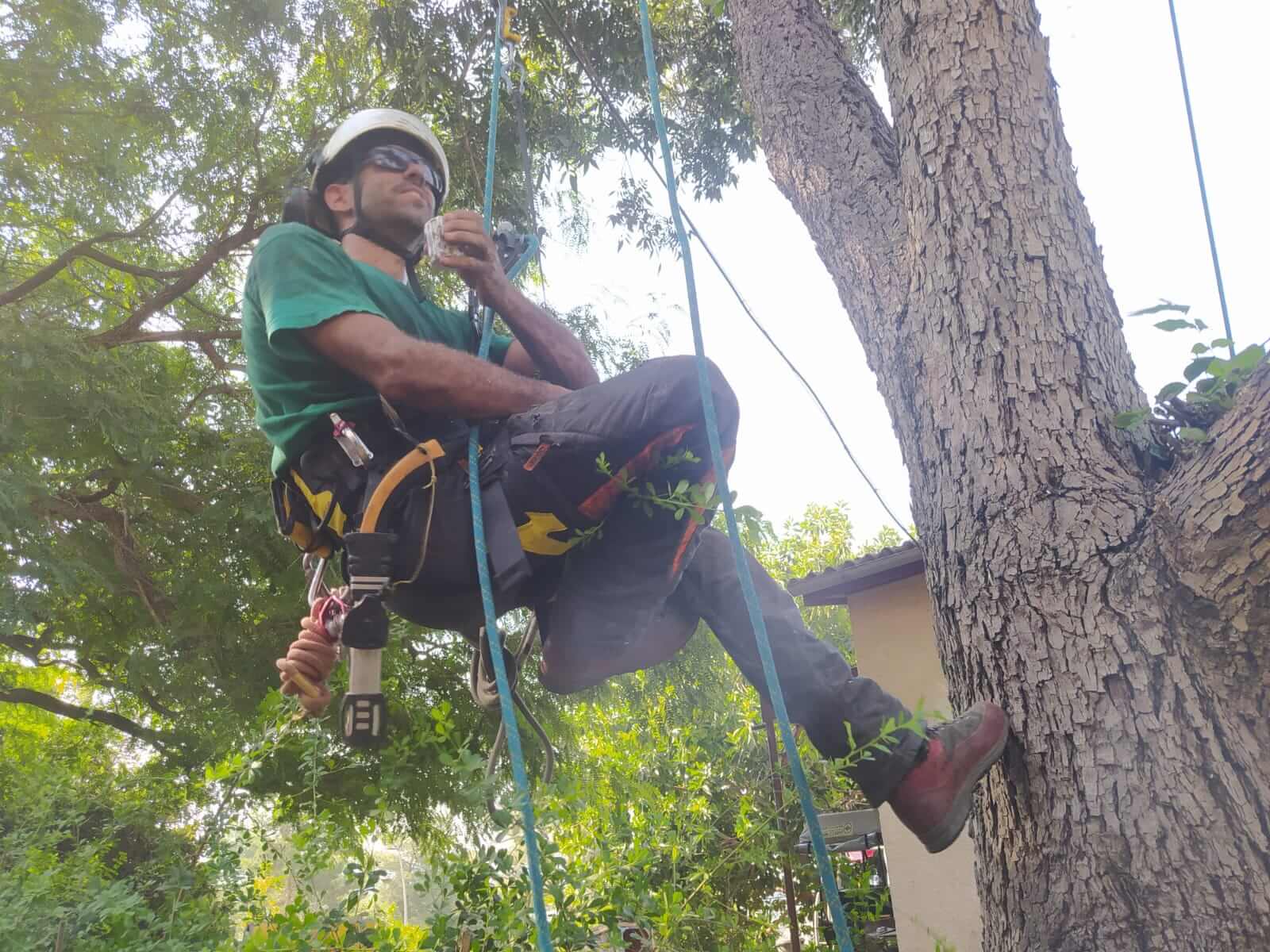 כרם בטיחות אתגרית- המומלצים של אבן גיר